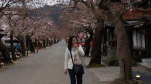 Gaisen Sakura