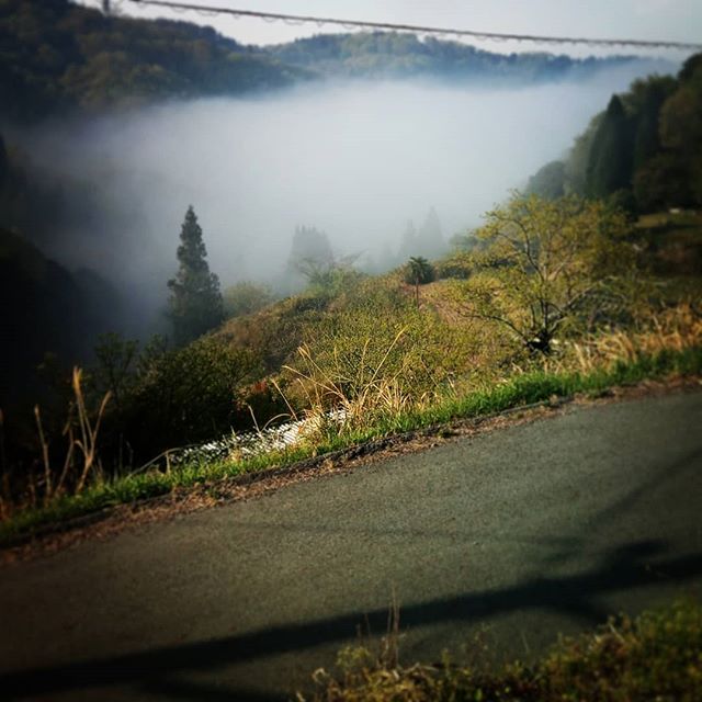 谷間に発生する霧も高い山の上から広範囲にみえれば雲海だけどこの近々では朝霧