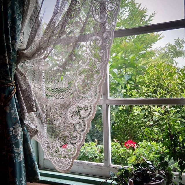 教室の窓から見える雨の庭。 ここに住むようになって雨の日も好きになった…#春雨 #雨の庭 #家籠り #本日も営業中 #緑 #しっとり #雨の日が好き #まったり #雨の日が楽しい ##happy #rain #country #green #window #raindance #